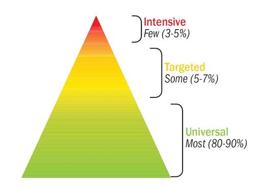 Triangle with bottom as Universal 80-90 percent Target in the middle at 5-7 percent and Intensive at the top with 3-5 percent 